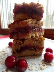 Chocolate Chip Cranberry Oatmeal Squares Bars