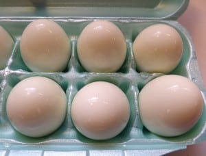 The Hard Boiled Egg Experiment - Easily Peeled Eggs