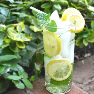 What To Do With Fresh Mint - PA Dutch Meadow Tea - Amish/Mennonite Fresh Mint Iced Tea - Lancaster County - craftycookingmama.com