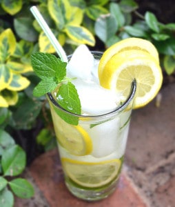 What to Do With All The Mint That Grows - PA Dutch Meadow Tea - Amish/Mennonite Fresh Mint Iced Tea - Lancaster County - craftycookingmama.com