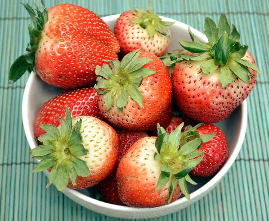 How To Sweeten Under Ripe Or Sour Strawberries Crafty Cooking Mama,Virginia Sweetspire In Winter