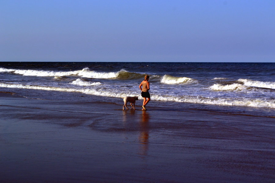 OBX - Outer Banks - Corolla Beach NC - 4x4 Beach - craftycookingmama.com