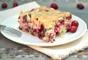 A simple yet delicious buttery moist cake booming with flavor from tart fresh cranberry and decadent dark chocolate chips | craftycookingmama.com