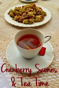 Cranberry Chocolate Chip Drop Scones | Easy, Quick, No Knead Scones | Tea Time or Anytime Scones | www.craftycookingmama.com