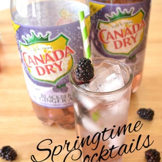 Gin & Canada Dry® Blackberry Ginger Ale | Simple, Refreshing, Delicious & Beautiful Springtime Cocktail | www.craftycookingmama.com