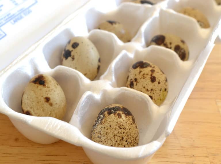 Hard Boiled Quail Eggs Crafty Cooking Mama