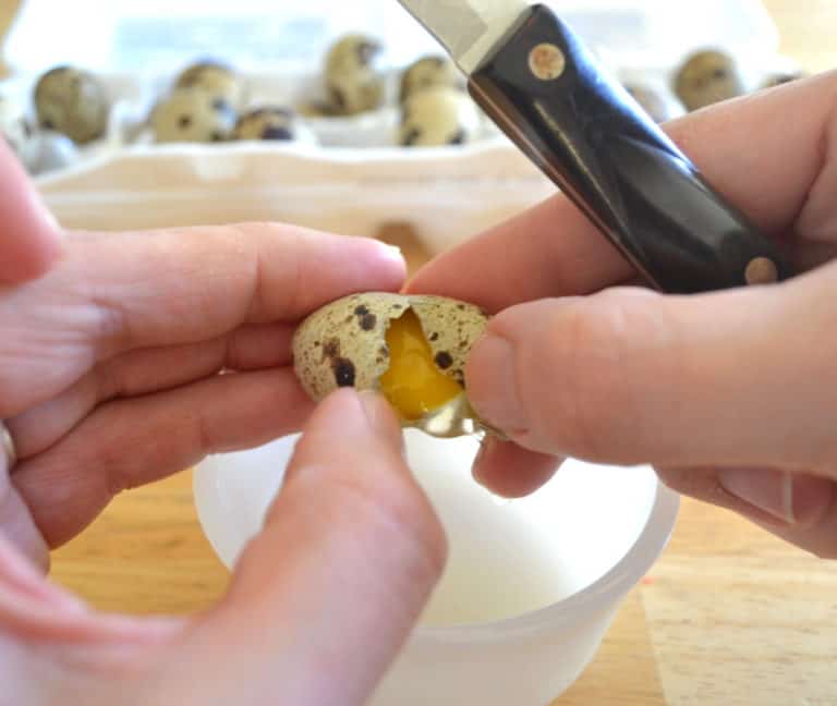 Hard Boiled Quail Eggs Crafty Cooking Mama
