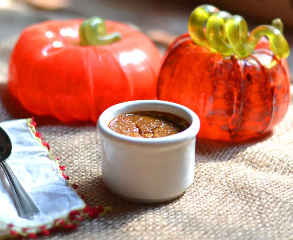 Craving pumpkin? This Pumpkin Custard recipe is simple to prepare and produces a creamy & lush dessert!