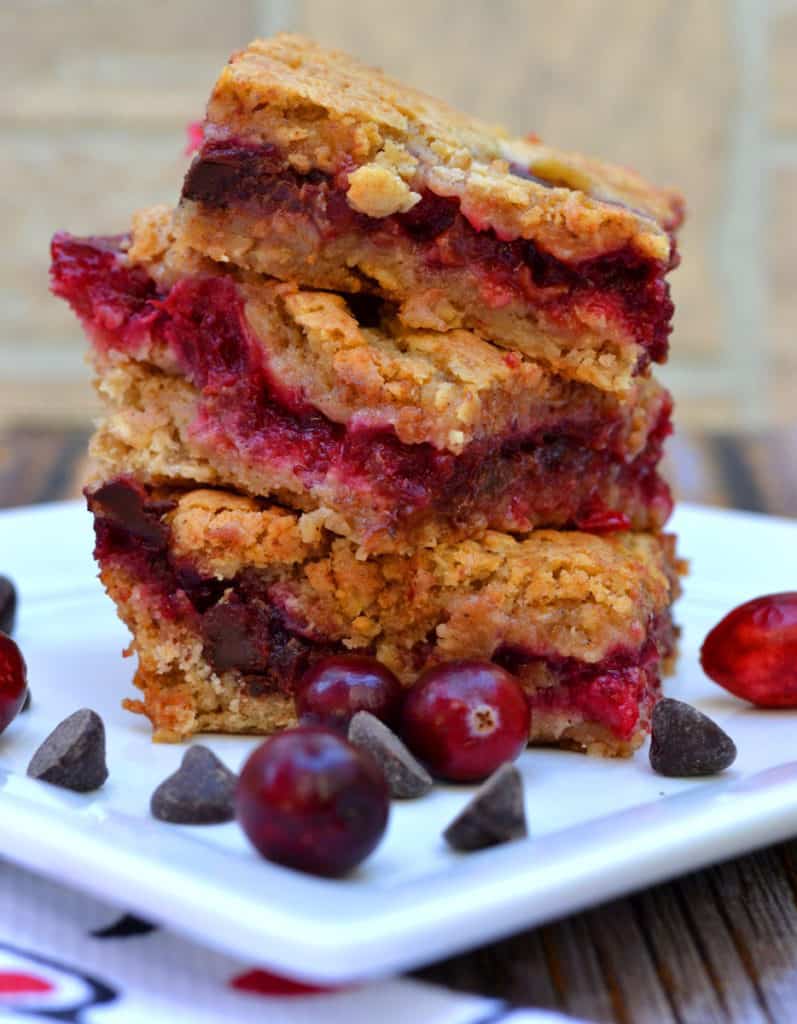 Cranberry Chocolate Chip Oat Bars