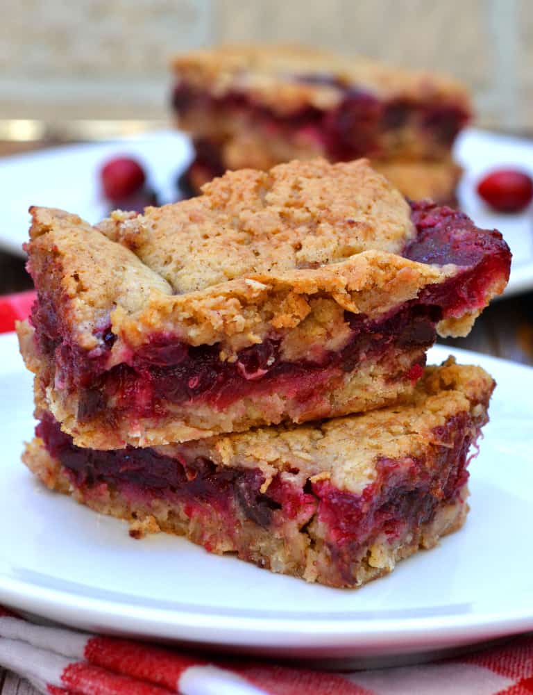 Cranberry Chocolate Chip Oat Bars