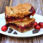 Cranberry Chocolate Chip Oat Bars